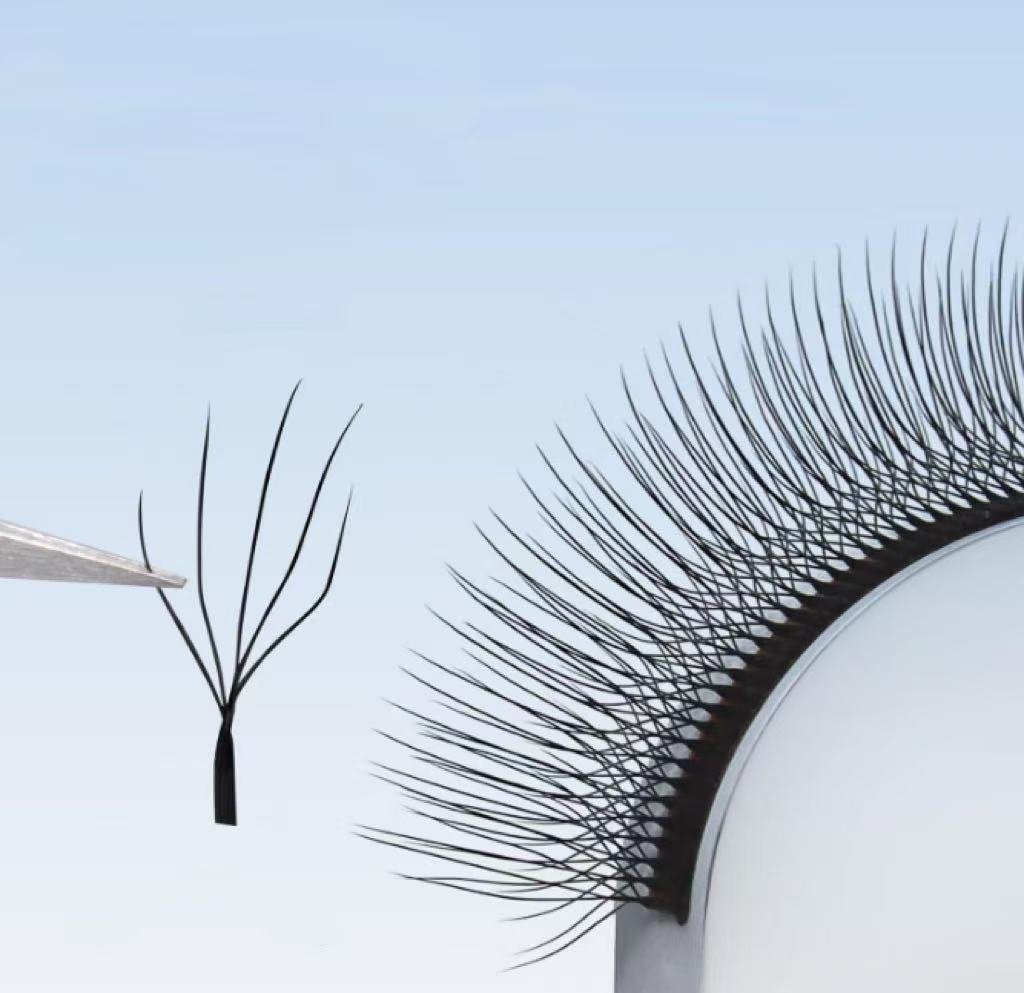 Camellia 5D W Lash Extensions for Professional Eyelash Artists