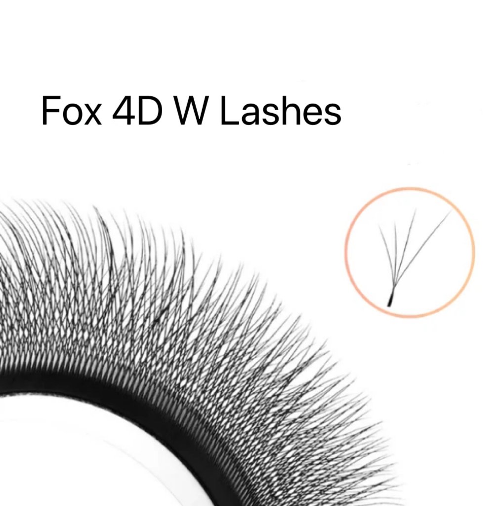 Fox 4D W Lash Fans with four Fibers of Gradual Lengths