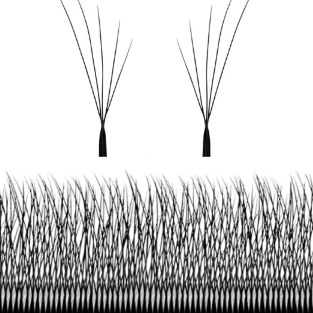 Fox 5D W Lash Fans with Five Fibers of Gradual Lengths